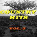 Asleep At The Wheel / B.j. Thomas / Billie Jo Spears / David Houston / Don Gibson / Donna Fargo / Exile / Faron Young / Jack Greene / Jeanne Pruett / Kenny Rogers / Kitty Wells / Lacy J. Dalton / Lynn Anderson / Mark Wills / Merle Haggard / Patsy Cline / Tanya Tucker / Waylon Jennings - Country hits, vol. 3