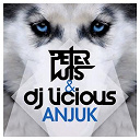 Dj Licious / Peter Luts - Anjuk