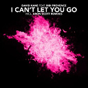 David Kane - I can't let you go (feat. bibi provence)
