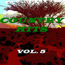 Asleep At The Wheel / Dave Dudley / Don Gibson / Donna Fargo / Faron Young / Jack Greene / Janie Fricke / Kenny Rogers / Lee Greenwood / Lynn Anderson / Merle Haggard / Mickey Gilley / Moe Bandy / Pam Tillis / Patsy Cline / Porter Wagoner / T G Sheppard / Tanya Tucker - Country hits, vol. 5