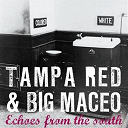 Big Maceo Merriweather / Tampa Red - Echoes from the south with tampa red & big maceo