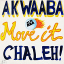 Akyeame / D.j. Bonano / D.j. Menza / D.j. Mix 1er & Eloh D.j. / Diata Sya / Dogo / Kedjevara / Les Patrons / Mamou Sidibe / Mokobe / Nana Quame / Okyeame Kwame / Okyeame Quophi / Praye / Quabena Phillip / Rabbi - Move it chaleh!