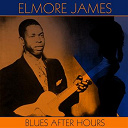 James Elmore - Blues after hours