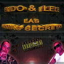 Endo - Las armas secretas