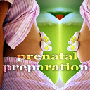 1st Class / Carola Bianca / Christian Paduraru / Coolerika / Funkocrat / Loyalmen / Morico Montini / Motivated / Narrator / Phenomen / Relate4ever / Starrysky / The Feeling / Vibrant - Prenatal preparation (creative progressive house music)