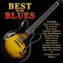 B.b. King / Brownie Mcghee / Bull Moose Jackson / Champion Jack Dupree / Jimmy Reed / John Lee Hooker / Juke Boy Bonner / Lightnin' Hopkins / Memphis Slim / Otis Spann / Ray Charles / Sonny Boy Williamson / Sonny Terry / Willie Dixon - Best of the blues