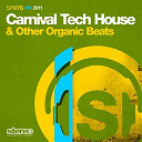 Abel Ramos / Antonio Santana / David Herrero, Mark Ferrer / Dj Chus / Jorge Montia / Mikel Curcio / Oscar L / Raul Cremona / Rob Mirage / Supernova / Tom Sawyer / Ugo Platana, Sonny Wharton - Carnival tech house & other organic beats