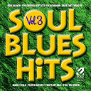 Bill Coday / Carl Sims / Chuck Roberson / Denise Lasalle / Dr. Feelgood Potts / Lee Shot Williams / O. B. Buchana / Quinn Golden / Rick Lawson / Sheba Potts-Wright - Soul blues hits, vol. 3