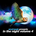 Craig Stewart / Da Funk / De Jean / Dima Promo / George Horn / Hakimonu / Helly Larson / Ilias Katelanos / Ivan Enot / Jean-S&eacute;bastien Bach / Nicolaj / Ocean Gaya / Onur Ozman / Suel / Timo Camillo - In the night, vol. 4
