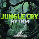 Bhy2r / Daddy Twan / Fire Star / Jacobs / Jah Van I / Rwm / Stikki Tantafari - Jungle cry rythm