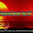 Acid Soul Project / Affani / Alec Carlsson / Coach Roebuck / Dj Eq / Green Street / Joey Chicago / Mezmer / Mike Gillenwater / Pasha Sugar Bear / Paul Anthony, Zxx / Sean Biddle / Takeshi / Turntable Mafia / Vince Fierro - Nocturnal summer heat 2011
