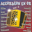 Astor Piazzolla / Aurelien No&euml;l / Charles P&eacute;guri / Charles Verstraete / Colombo / Domi Emorine / Emile Carrara / Gu&eacute;rino / Jean Segurel / Jean Vaissade / Jo Privat / Joe Rossi / Maurice Alexander / Maurice Larcange / Samuel Garcia / Tony Murena / &Eacute;mile Prud'homme - Accord&eacute;on en or, vol. 2 (french accordion)