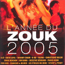 Christiane Valejo / Delver) / Dominique Zorobabel / Edith Lefel / Jim Rama / Jocelyne Beroard / Les &Eacute;toiles Du Zouk / Mill&eacute;simes / Paulo Albin / Peggy / Slai / Sonia Derson / Steevy / Talina / Thierry Cham / V-Ro / Zouk Dog - L'ann&eacute;e du zouk 2005