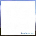 Acetate Zero / Bertuf / Billy Mahonie / Chessie / Chris Brokaw / D'iberville / Electric Birds / Hood / Kiln / K&ouml;hn / Paloma / Rothko / Sink / Twisted Science - Bucolique vol.1