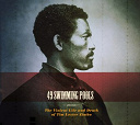 49 Swimming Pools - The violent life and death of tim lester zimbo (bonus track version)