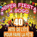 C. Wyllis Orchestra / Pop Dance Orchestra / Pop Soleil Orchestra / The Disco Orchestra / The Top Orchestra - Super fiesta &agrave; gogo (40 hits de l'&eacute;t&eacute; pour faire la f&ecirc;te)