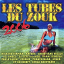 Ali Angel / Christiane Valejo / Dave / Dj Jeff / Emile Naroyanin / Franck Nara / Harry Diboula / J&eacute;r&ocirc;me / Kaf'fons / Kaysha / Max Telephe / Milca / Paulo Albin / Richard Birman / Steevy / Victor Treffre / Youri - Les tubes du zouk 2006