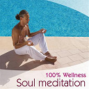 Ayuthya / Frederick Rousseau / Gioari / Laurent Dury / Philippe Bestion / Vincent Bruley - 100 % wellness - soul meditation
