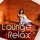 Antoine Binant, Eric Auneau / Ayuthya / Daniel Finot / Dominique Verdan / Fred Dubois / Georges Bodossian / Jean-Pierre Limborg / Laurent Dury / Michel Goubin / Nobbs, N'bess / Sylvain Poge / Vincent Bruley - Lounge relax, vol. 2