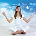 Emmanuelle Hildebert / Georges Bodossian / Gregory Beaux / Jacques Pelizzari / Jaya Satria / Jean-Pierre Limborg / Laban'gui / Nicolas Vasseur / Sylvain Poge / Thalassa Toussy / Toty / Val&eacute;rie Poge / Vincent Bruley / Yogitea - Voyage immobile
