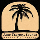 Action 13 / Celestine Ukwu, His Philosophers National / Ebo Taylor / Fruko Y Sus Tesos / Les Loups Noirs De Haiti / Lito Barrientos / Los Silvertones / Oscar Sulley / Papi Brandao / Sweet Talks / T.p. Orchestre Poly Rythmo / The Uhuru Dance Band - Soundway presents afro tropical soundz, vol. 1