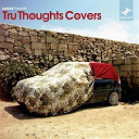 Aldo Vanucci, Amie J. / Bonobo / His Combo Barbaro / Hot 8 Brass Band / J. Viewz / Jumbonics / Kylie Auldist / Lizzy Parks / Me / Nostalgia 77 / Quantic / The Bamboo Shoot / The Jack Baker Trio / The Quantic Soul Orchestra / Tm Juke / Woon / You - Unfold presents...tru thoughts covers