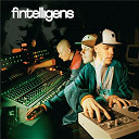 Fintelligens - Kokemusten summa