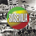 Sinsemilia - Premi&egrave;re recolte