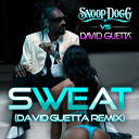 Snoop Dogg - Sweat (snoop dogg vs. david guetta) (remix)