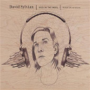 David Sylvian - Died in the wool