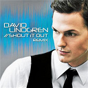 David Lindgren - Shout it out (remix)