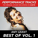 Amy Grant - Best of vol. 1 (performance tracks) - ep