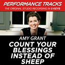 Amy Grant - Count your blessings instead of sheep (performance tracks) - ep
