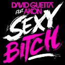 David Guetta - Sexy bitch