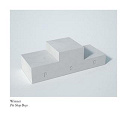 The Pet Shop Boys - Winner
