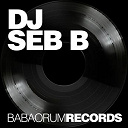 Dj Seb B - Indian sucker
