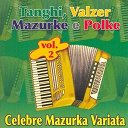 Cesare Vaia - Celebre mazurka variata. tanghi, valzer, mazurke e polke vol. 2