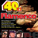 Ana Reverte / Angelillo / Antonio Molina / Anto&ntilde;ita Pe&ntilde;uela / Beni De Cadiz / Canalejas De Puerto Real / Chiquetete / Curro Malena / Duquende Con Manzanita / El Cabrero / El Chocolate / El Chozas / El Lebrijano / El Perro De Paterna / El Sevillano / El Turronero / Enrique Montoya / Fosforito / Gordito De Fernan Nu&ntilde;ez / Gordito De Triana / Jimenez Rejano / Jos&eacute; El De La Tomasa / Juan Varea / Juanito Maravillas / Juanito Valderrama / La Paquera De Jerez / La Perla De Cadiz / Manolo El Malagueno / Manolo Limon / Manolo Sanlucar / Manuel Avila / Manuel Gerena / Naranjito De Triana / Nina De La Puebla / Ni&ntilde;o De Pura / Paco De Lucia / Pepe Marchena / Pepe Pinto / Perlita De Huelva / Porrina De Badajoz - 40 no. 1 del flamenco