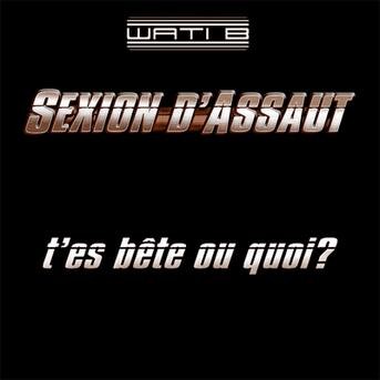 TÉLÉCHARGER SEXION D ASSAUT T ES BETE OU QUOI GRATUIT OU ES SEXION TÉLÉCHARGER BETE QUOI GRATUIT T ASSAUT D